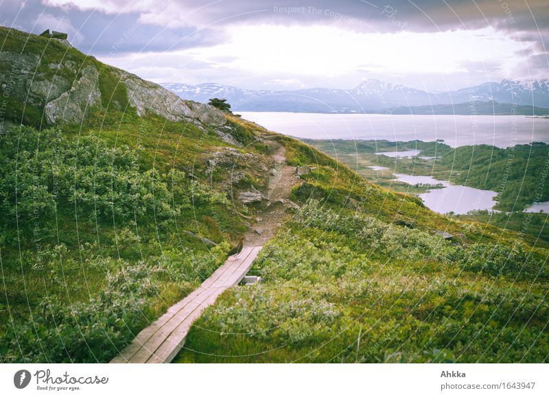 mountain path Plant Mountain Peak Lake Wood Infinity Blue Green Beginning Effort Loneliness Horizon Passion Nature Perspective Lanes & trails Far-off places