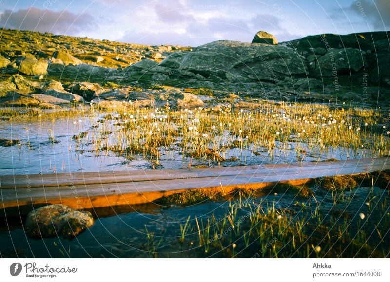 BRIDGING Nature Water Sunrise Sunset Sunlight Grass Rock Bog Marsh Pond Lanes & trails Wood Line Wet Warmth Wild Moody Trust Safety Responsibility Wisdom Hope