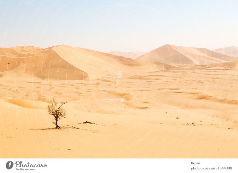 sand dune in oman old desert rub al khali Beautiful Vacation & Travel Tourism Adventure Safari Summer Sun Nature Landscape Sand Sky Horizon Park Hill Rock Stone