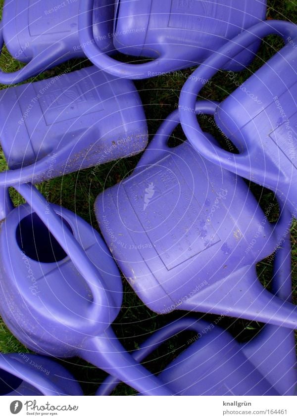 The watering can principle Colour photo Multicoloured Exterior shot Close-up Deserted Bird's-eye view water flowers Garden Gardening Nature Plant Water