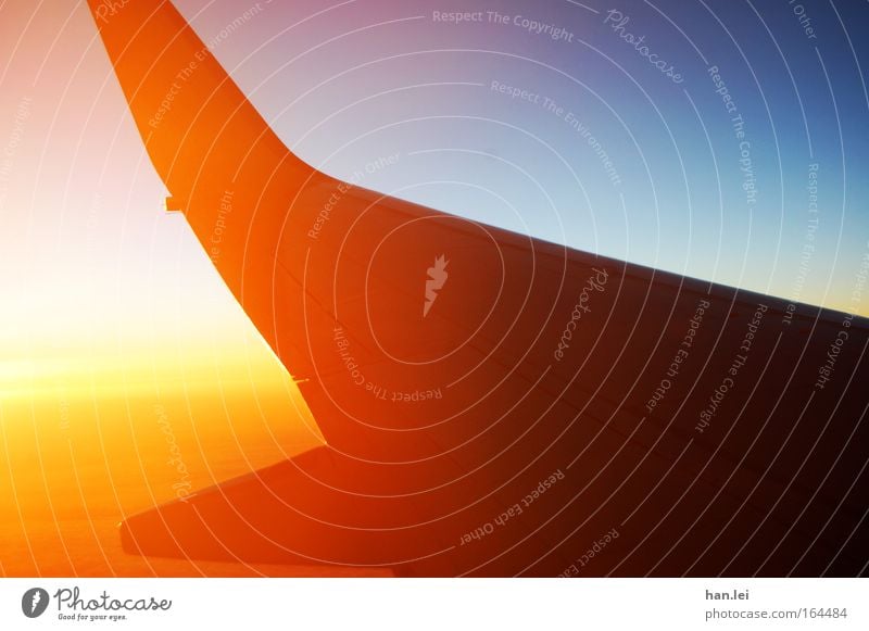 departure Colour photo Exterior shot Aerial photograph Deserted Copy Space right Copy Space top Copy Space bottom Dawn Light Shadow Contrast Silhouette