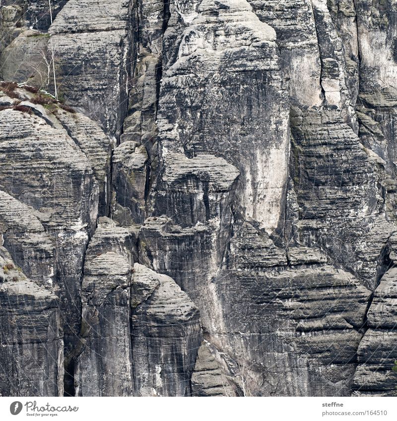 Grand Canyon Subdued colour Exterior shot Deserted Day Central perspective Climbing Mountaineering Landscape Rock Elbsandstone mountains Elbsandstein region