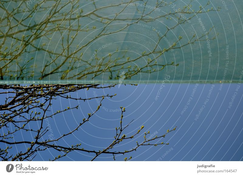 Under the glass roof Colour photo Exterior shot Abstract Deserted Day Reflection Shallow depth of field Worm's-eye view Garden Gardening Closing time