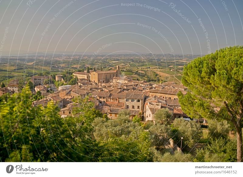 San Gimignano Vacation & Travel Tourism Trip Far-off places Freedom Sightseeing Summer Summer vacation Sun Dream house Architecture Landscape Beautiful weather