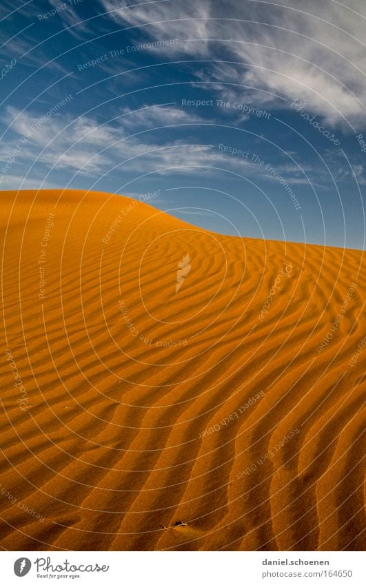 the sky over the desert Colour photo Multicoloured Exterior shot Deserted Copy Space top Evening Light Shadow Vacation & Travel Expedition Sand Sky Climate