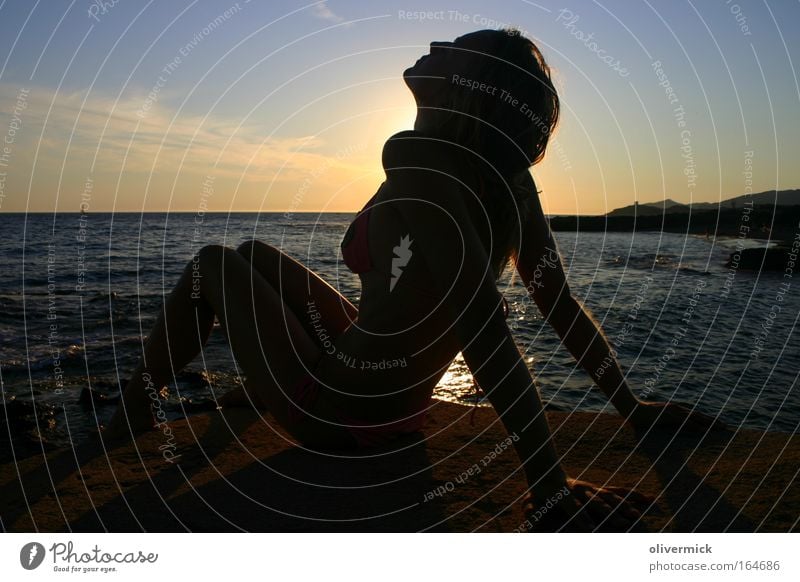 goose skin Multicoloured Exterior shot Evening Silhouette Sunrise Sunset Back-light Full-length Profile Harmonious Well-being Relaxation Beach Ocean Feminine