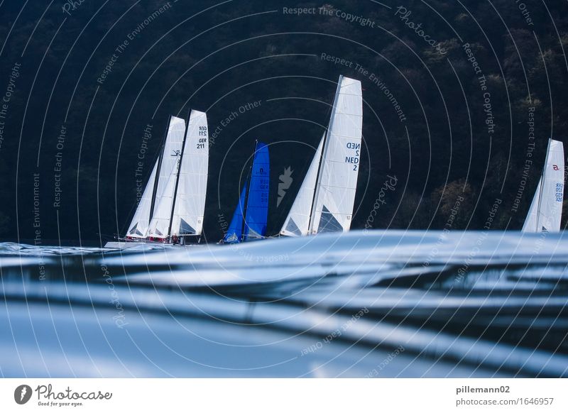 sailing Aquatics Sailing Waves Sailboat Esthetic Maritime Blue Black Calm Contentment Movement Relaxation Leisure and hobbies Moody Catamaran Subdued colour