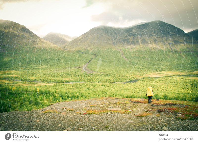 adventure Relaxation Calm Adventure Mountain Hiking 1 Human being Nature Landscape Forest Virgin forest Peak Freedom Perspective Far-off places Colour photo