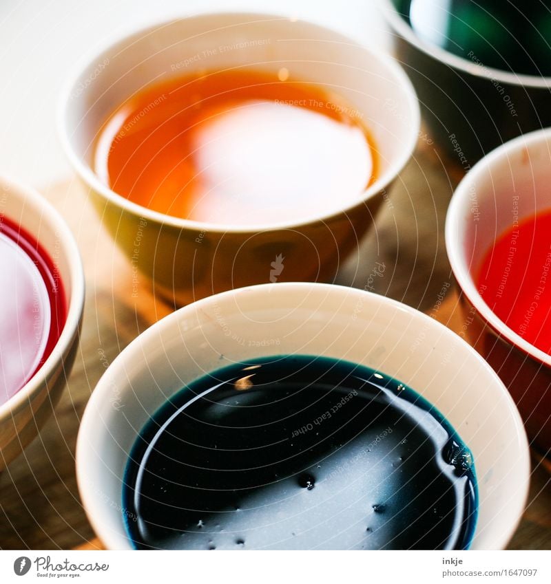 Round | Paint pots Leisure and hobbies Bowl Dye Colour Easter egg colour Fluid Multicoloured Creativity Dyeing Colour photo Interior shot Close-up Deserted Day