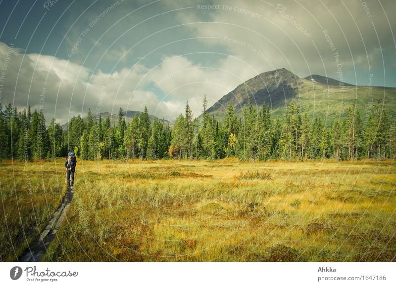 It was a long way. Vacation & Travel Mountain Hiking Young woman Youth (Young adults) Nature Landscape Clouds Beautiful weather Bog Marsh Lapland Sadness