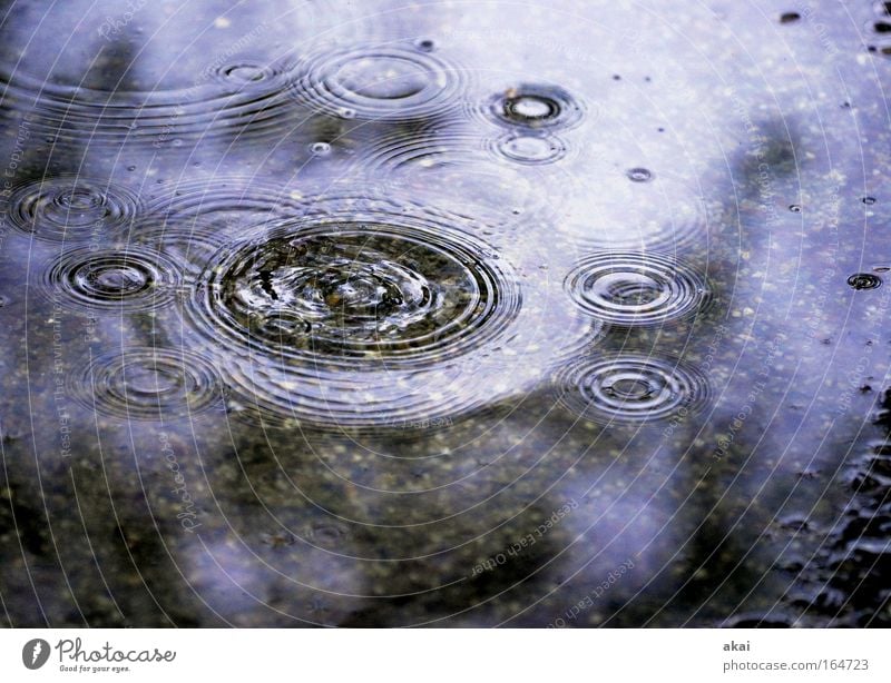 Baden-Baden... the hairstyle holds! Exterior shot Detail Day Contrast Reflection Back-light Deep depth of field Long shot Water Drops of water Rain Pond Lake