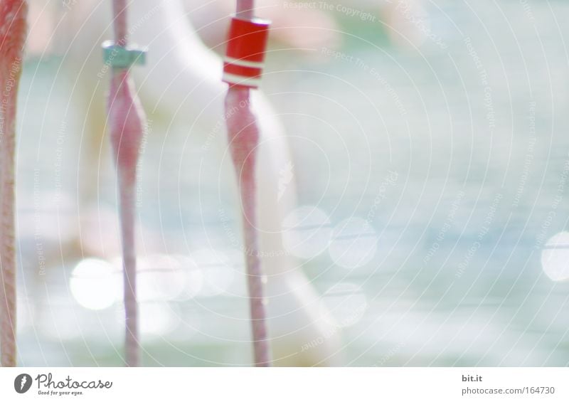 BUTTON ON THE LEG Colour photo Subdued colour Exterior shot Close-up Detail Abstract Deserted Copy Space right Morning Dawn Shallow depth of field Long shot