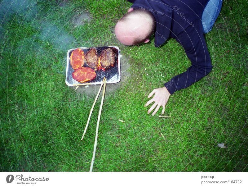 dudebun et porc sur la prairie Colour photo Exterior shot Copy Space bottom Evening Contrast Deep depth of field Bird's-eye view Wide angle Upper body Downward