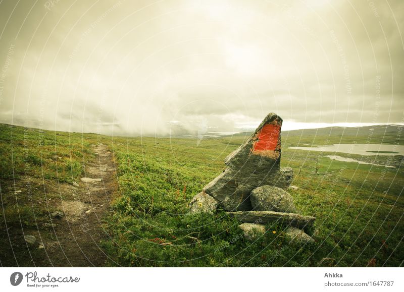 path marking Mountain Hiking Nature Landscape Bad weather Fog Rain Meadow Lanes & trails Stone Sign Signs and labeling Brown Green Wisdom Adventure Beginning