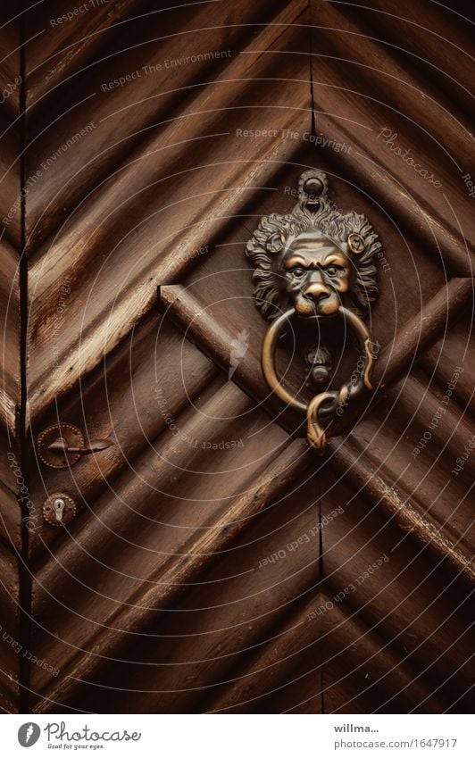 That's the pot! Living or residing Door Front door Knocker Wood Brown Lion's head Brass Lock Decoration Rustic Closed Door handle Colour photo Exterior shot