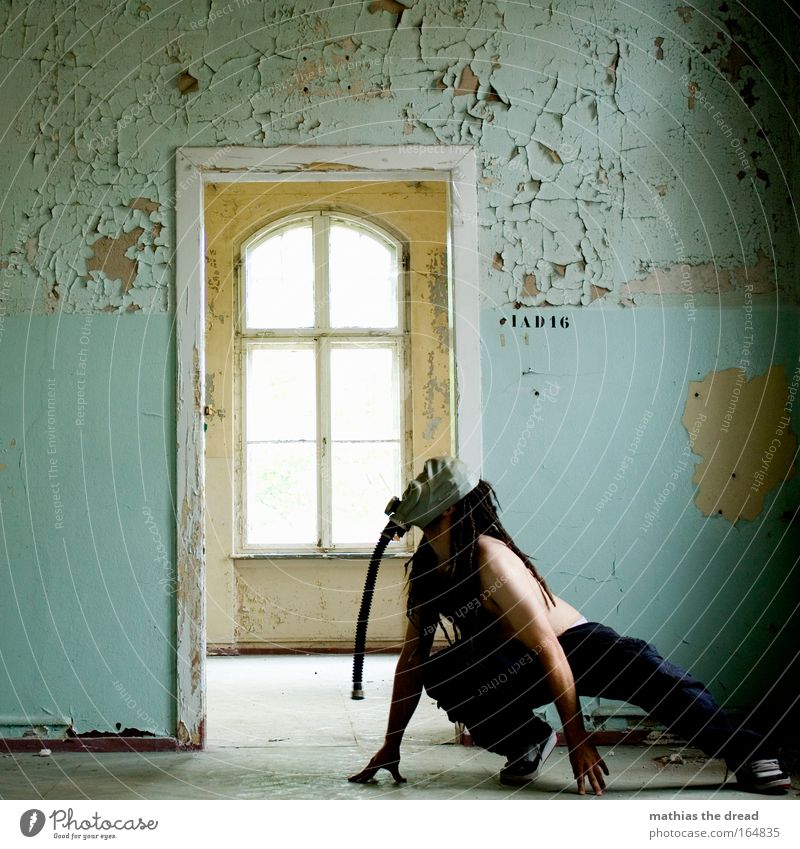 Duck and Cover Colour photo Multicoloured Interior shot Day Shadow Contrast Sunlight Back-light Shallow depth of field Long shot Full-length Half-profile