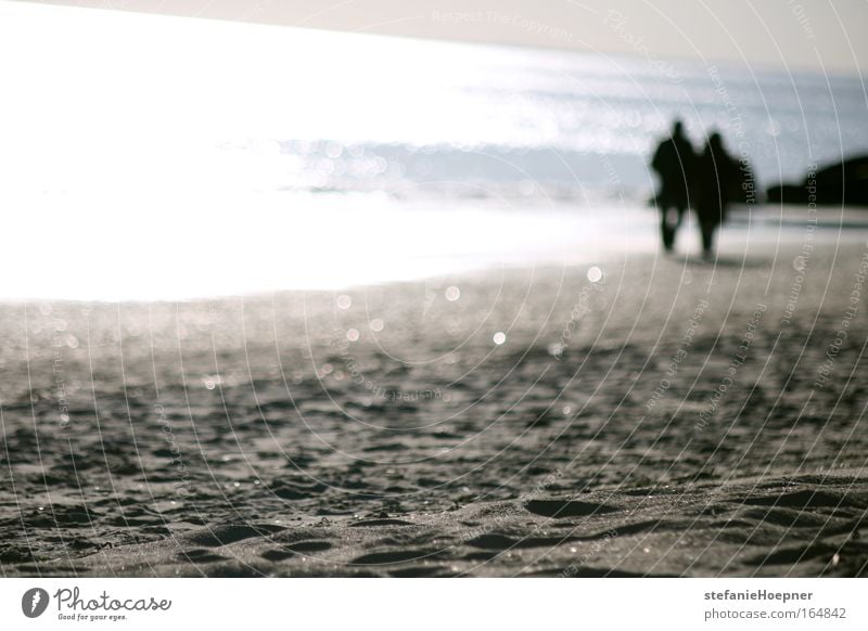 Sparkling Beach Colour photo Exterior shot Copy Space left Copy Space bottom Light Sunlight Sunbeam Back-light Blur Shallow depth of field Happy Harmonious