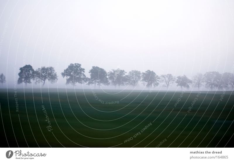 in the morning Colour photo Subdued colour Exterior shot Deserted Copy Space top Dawn Light Shadow Contrast Shallow depth of field Environment Nature Landscape