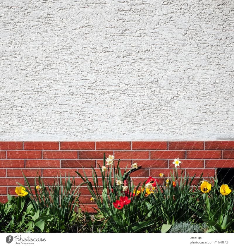 front yard Colour photo Multicoloured Exterior shot Copy Space top Living or residing House (Residential Structure) Garden Plant Spring Flower Detached house