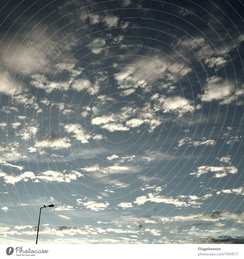 lantern seats Colour photo Exterior shot Copy Space left Copy Space right Copy Space top Day Long shot Looking Nature Landscape Sky Clouds