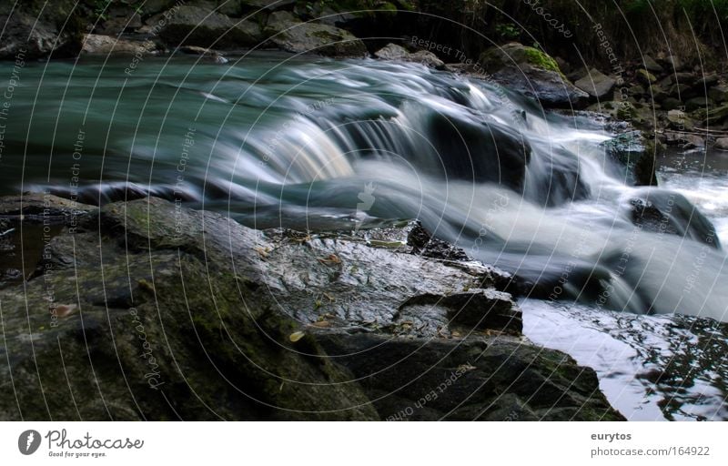 Flow! Colour photo Exterior shot Experimental Copy Space bottom Day Shadow Contrast Blur Long shot Environment Nature Landscape Plant Animal Elements Water