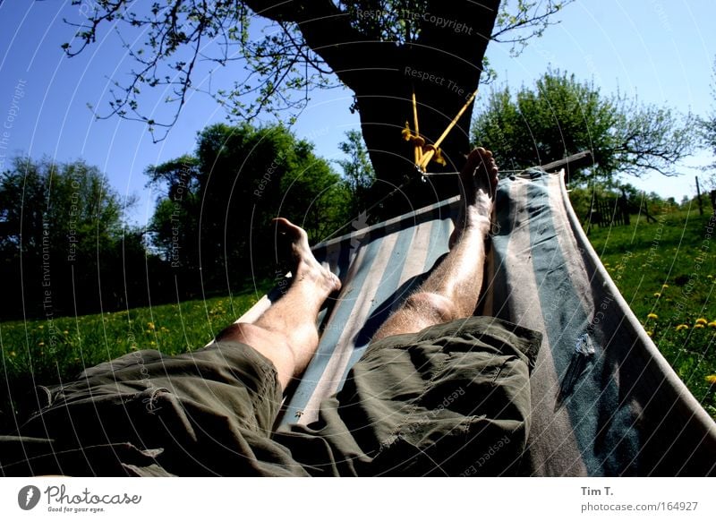 hammock Colour photo Exterior shot Day Sunlight Forward Joy Happy Harmonious Well-being Contentment Relaxation Calm Summer Garden Human being Masculine Man