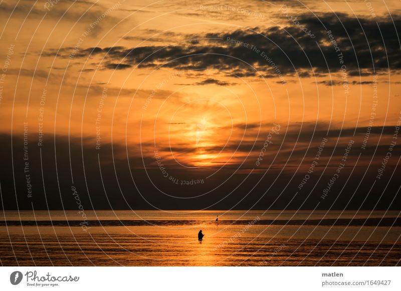 The Angler Nature Landscape Water Sky Clouds Horizon Sunrise Sunset Spring Weather Beautiful weather Bad weather Coast Beach Baltic Sea Stand Dark Brown Orange