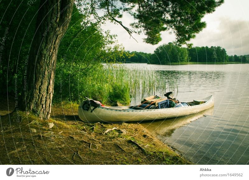 Beginning of a journey Relaxation Calm Meditation Vacation & Travel Trip Adventure Summer vacation Nature Tree Lakeside Canoe Canoe trip Contentment