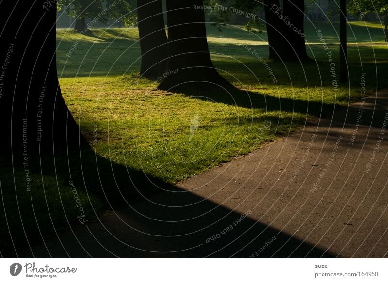 cast shadow Colour photo Exterior shot Deserted Copy Space bottom Day Shadow Contrast Sunlight Trip Retirement Closing time Environment Nature Landscape Plant