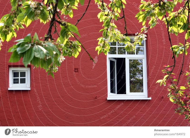 Take a look outside Colour photo Exterior shot Deserted Copy Space bottom Day Sunlight Long shot Joy Happy Harmonious Well-being Contentment Summer