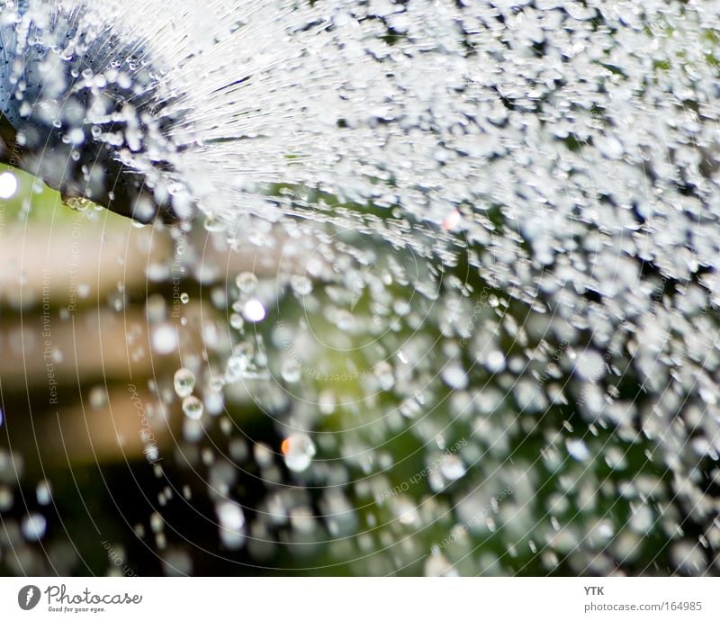 May rain on the seeds is like ducats! Colour photo Detail Deserted Copy Space left Copy Space bottom Shadow Reflection Motion blur Environment Nature Animal