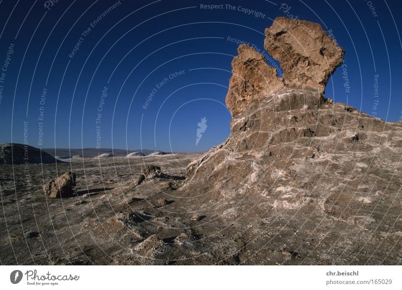 desert guard Colour photo Exterior shot Deserted Copy Space left Day Sunlight Deep depth of field Central perspective Wide angle Environment Nature Landscape