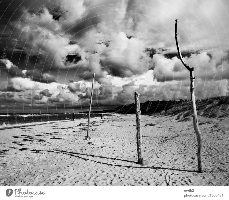 beach woods Human being Woman Adults Man 2 Environment Nature Landscape Sky Clouds Horizon Climate Beautiful weather Wind Coast Beach Baltic Sea Western Beach