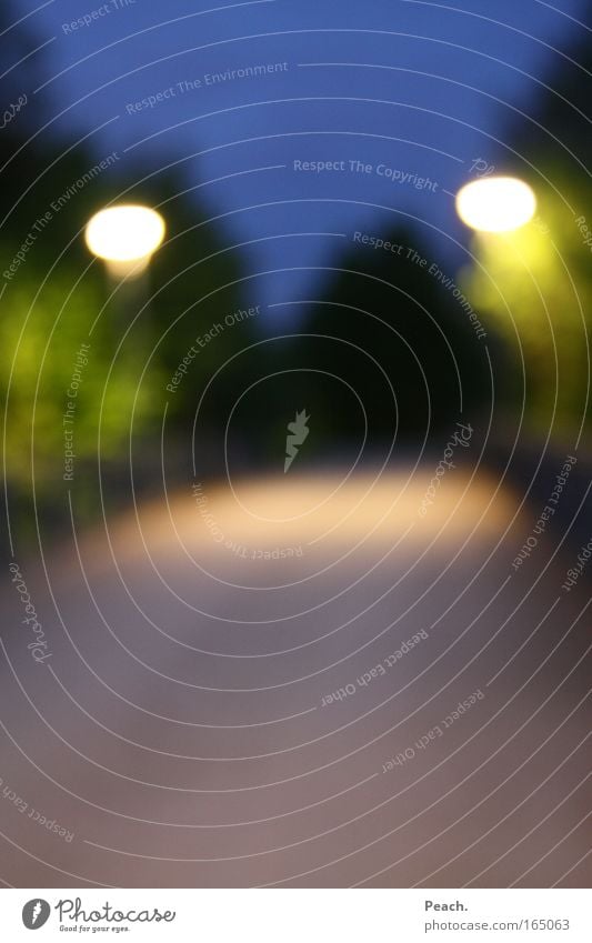 Enlightening Colour photo Subdued colour Exterior shot Deserted Twilight Light Light (Natural Phenomenon) Blur Long shot Nature Night sky Tree Park Bridge