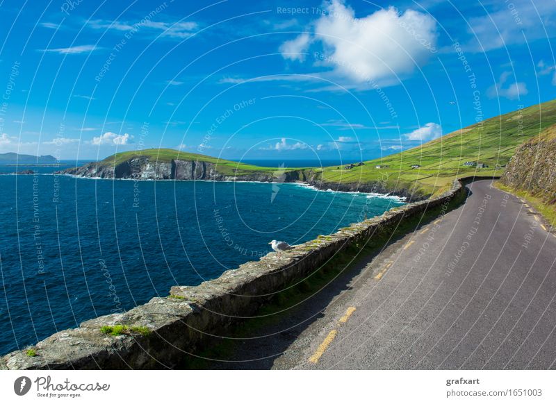 Narrow coastal road at Slea Head in Ireland Coast Street Fantastic Atlantic Ocean Travel photography Dingle Rock Risk Dangerous Horizon Cliff Curve Landscape