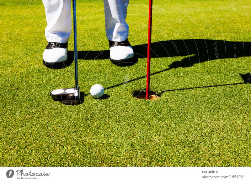 Golfer on the putting green, preparing to put Joy Relaxation Playing Summer Sports Golf course Man Adults Feet Pants Footwear Stand Green White Loneliness ball