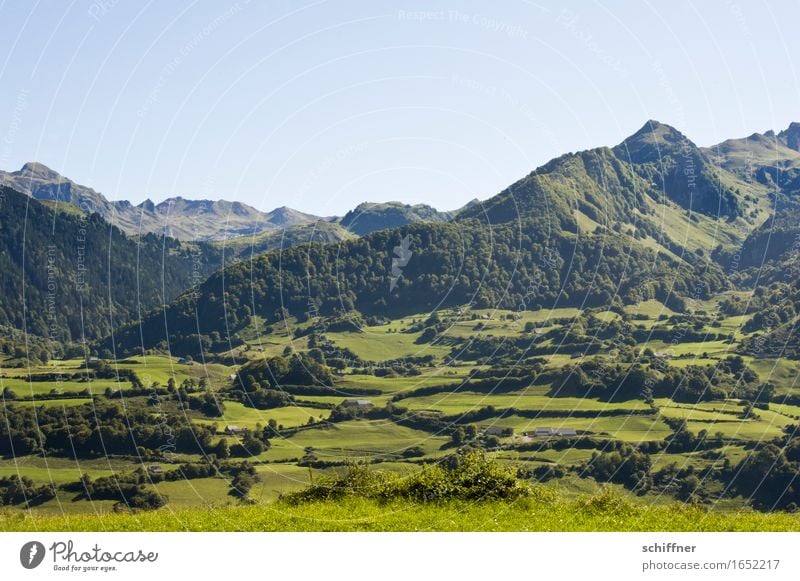 ...and there! - a sheep! Environment Nature Landscape Plant Summer Tree Grass Meadow Hill Mountain Peak Green Pyrenees Far-off places Vantage point Sky