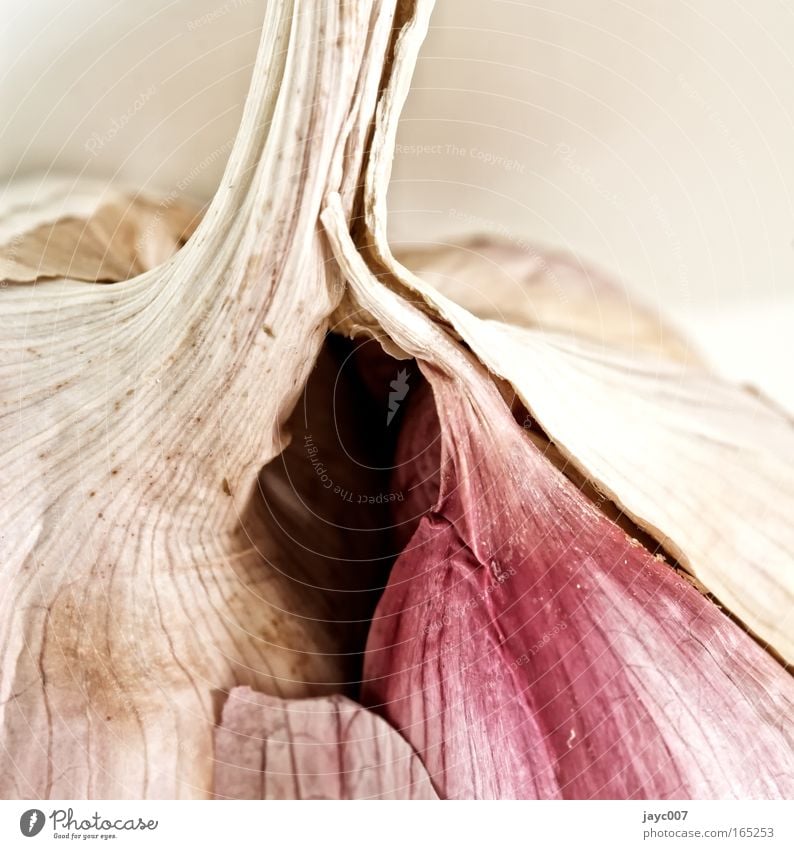 Garlic (detail) Colour photo Subdued colour Interior shot Studio shot Detail Macro (Extreme close-up) Structures and shapes Deserted Copy Space right