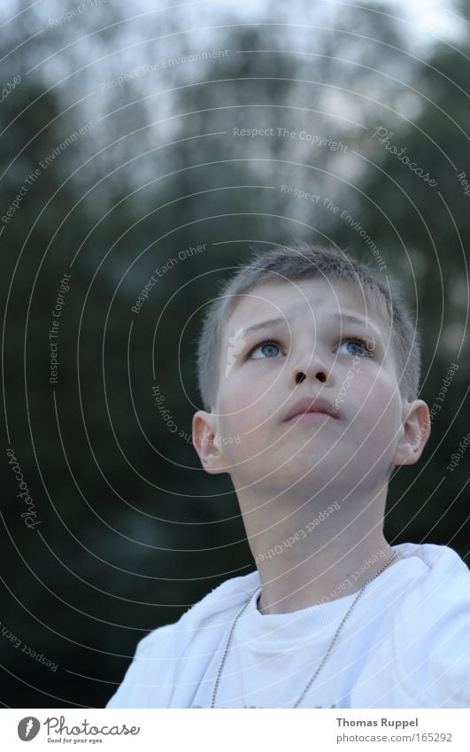 View upwards Colour photo Subdued colour Exterior shot Copy Space top Evening Twilight Portrait photograph Upward Human being Masculine Child Boy (child)