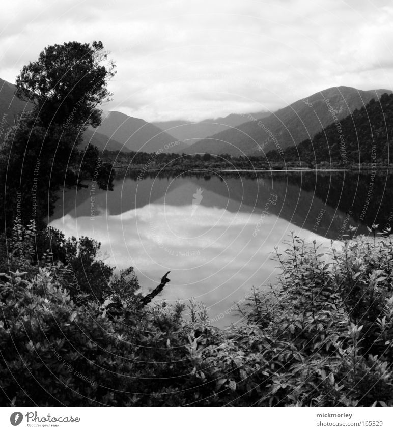 Paradise in Black and White Black & white photo Exterior shot Deserted Day Contrast Sunlight Wide angle Life Well-being Contentment Senses Relaxation Calm