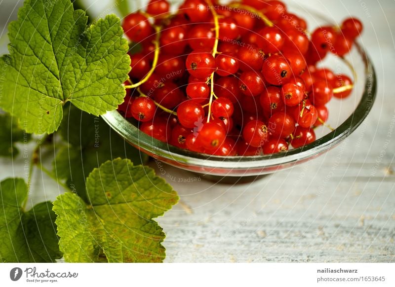 Red Currant Fruit Dessert Jam Redcurrant red currants Nutrition Organic produce Vegetarian diet Diet Fasting Crockery Bowl Mug Fragrance Fresh Healthy Natural