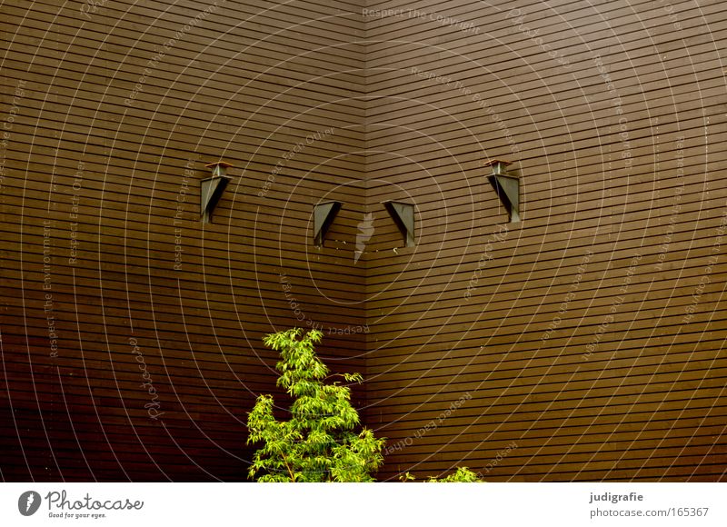 Green in the corner Colour photo Exterior shot Structures and shapes Deserted Copy Space top Day Contrast Economy Nature Plant Tree Bushes Hannover