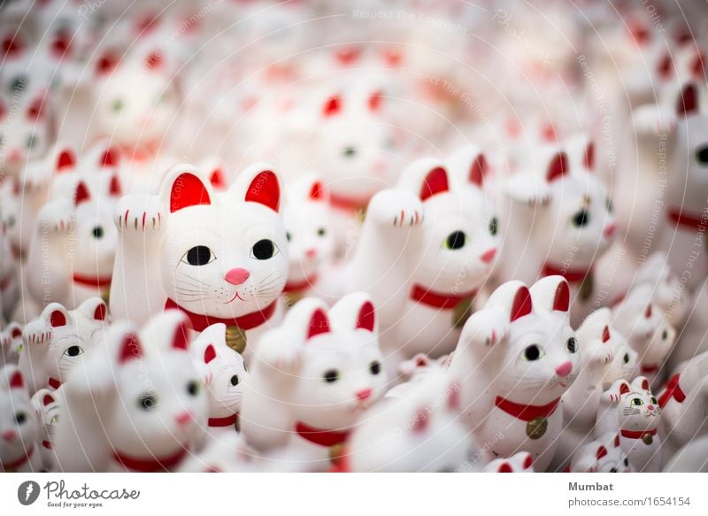 maneki neko Temple Cat Group of animals Kitsch Odds and ends Creepy Cute Red White Happy Happiness Fear Horror luck lucky Bizarre Vacation & Travel Mysterious