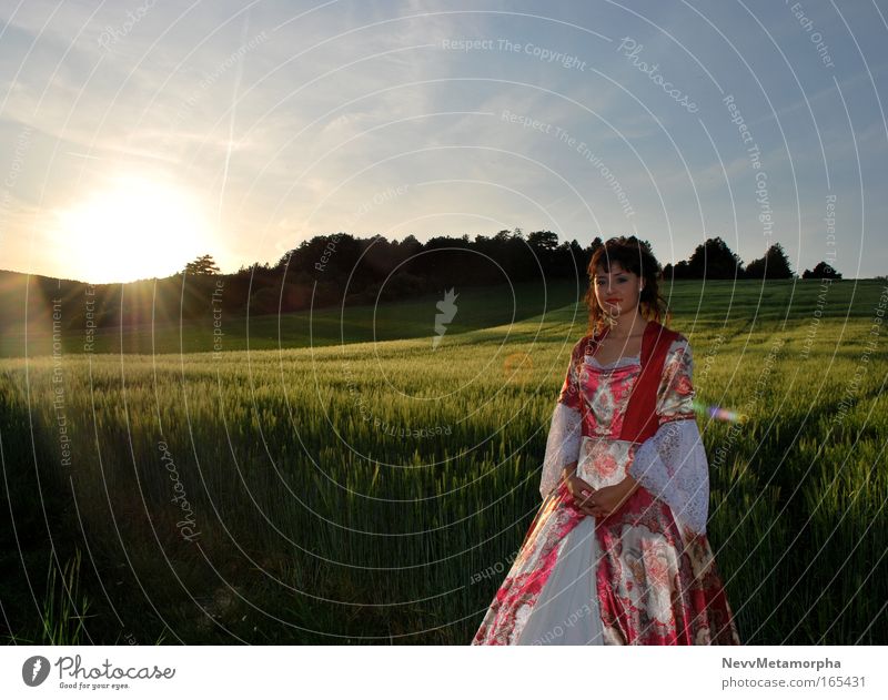 Princess of the Sunset Colour photo Exterior shot Central perspective Looking into the camera Feminine Young woman Youth (Young adults) 1 Human being Sunrise