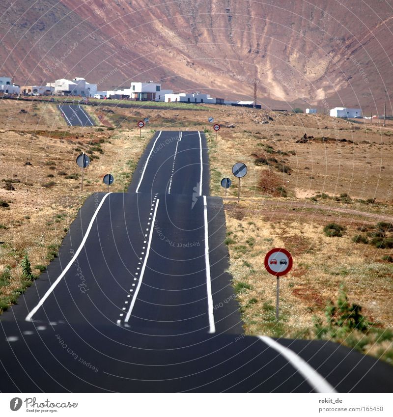 Coyote catches Road Runner Colour photo Subdued colour Exterior shot Deserted Copy Space left Copy Space middle Day Worm's-eye view Nature Landscape Hill Rock