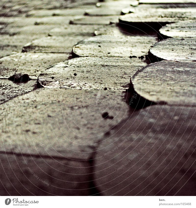 Rain on the roof Subdued colour Close-up Copy Space bottom Shallow depth of field Building Roof Illuminate Fluid Glittering Gold Esthetic