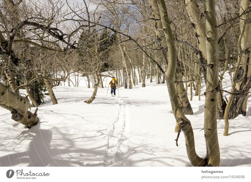 winter hike Fitness Sports Training Skiing Skis Nature Snow Mountain Vacation & Travel La Sal Mountains Utah Moab Colour photo Exterior shot Copy Space bottom