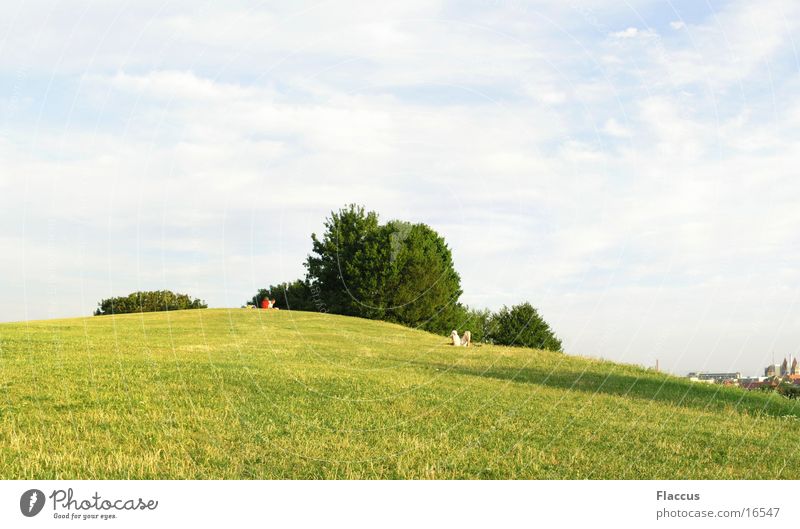 High Noon on the Hill Park Mount Olympus Summer Mountain Lawn Sky Sun