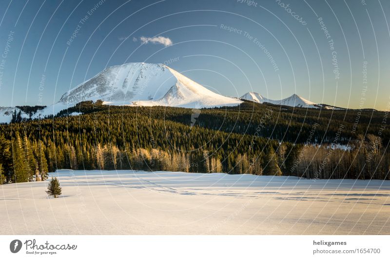 Mountains at Sunset Vacation & Travel Skiing Nature Landscape Winter Snow Forest Peak Snowcapped peak Contentment Trust Watchfulness Serene Calm