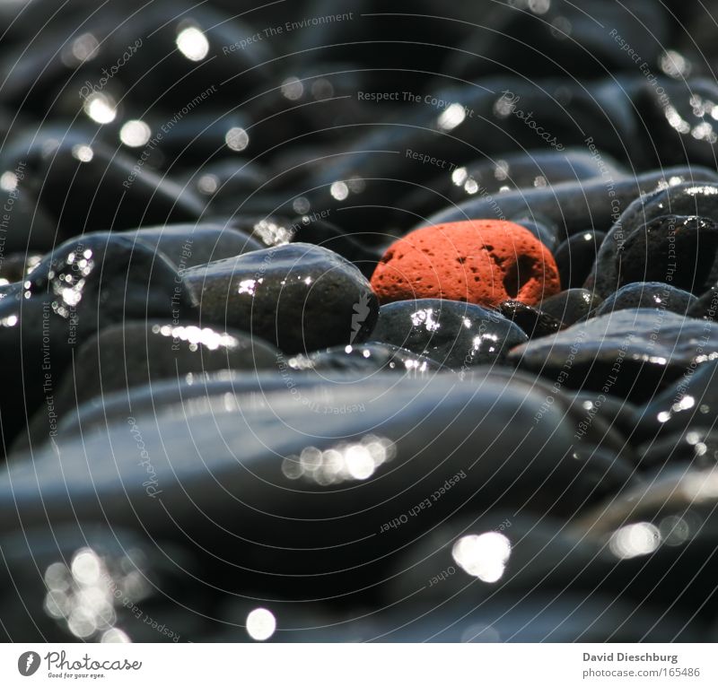 Alone among blacks Colour photo Exterior shot Copy Space bottom Day Contrast Reflection Sunlight Central perspective Elements Black Stone Round Vacation photo